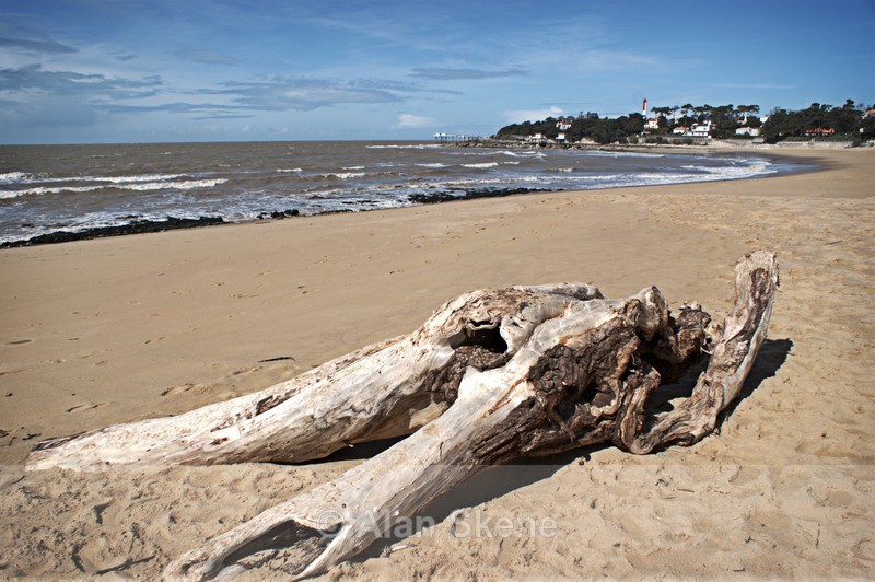 DSC05154 - the sea