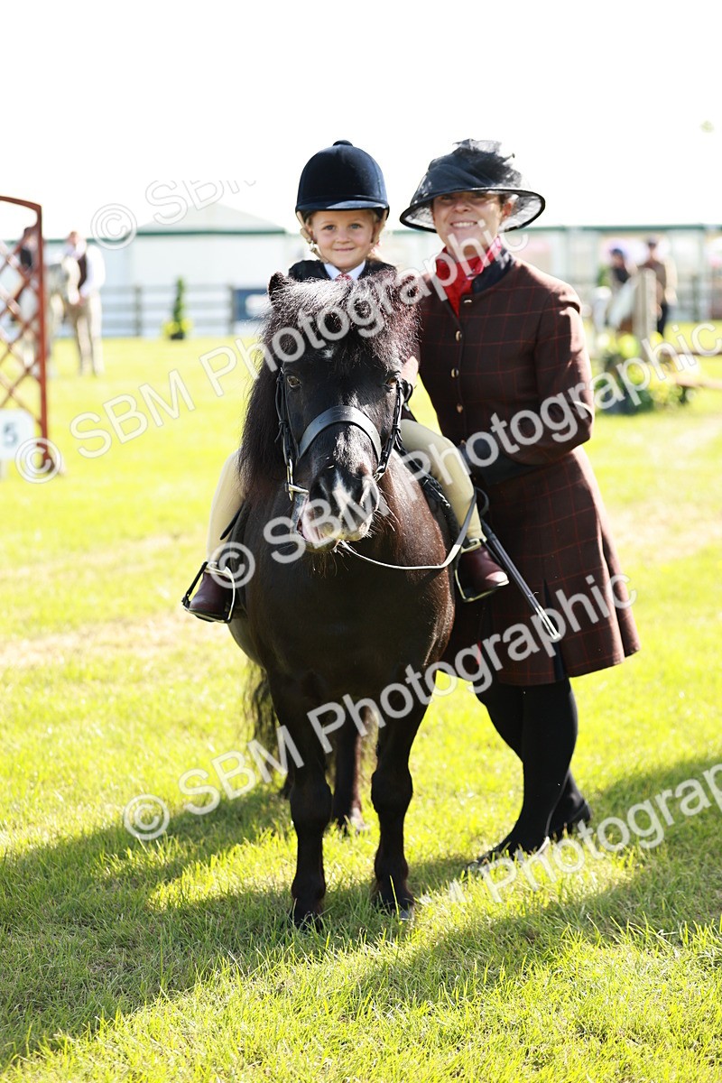 SBM_11320 - Class 106-107 - BSPS LIHS Working Sports Pony
