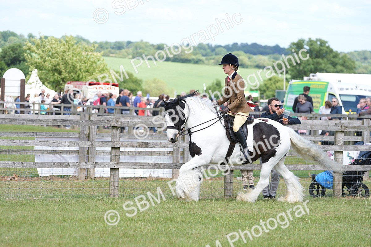 SBM_17154 - Class 107-108 - LIHS BSPS Performance Coloured Horse Pony