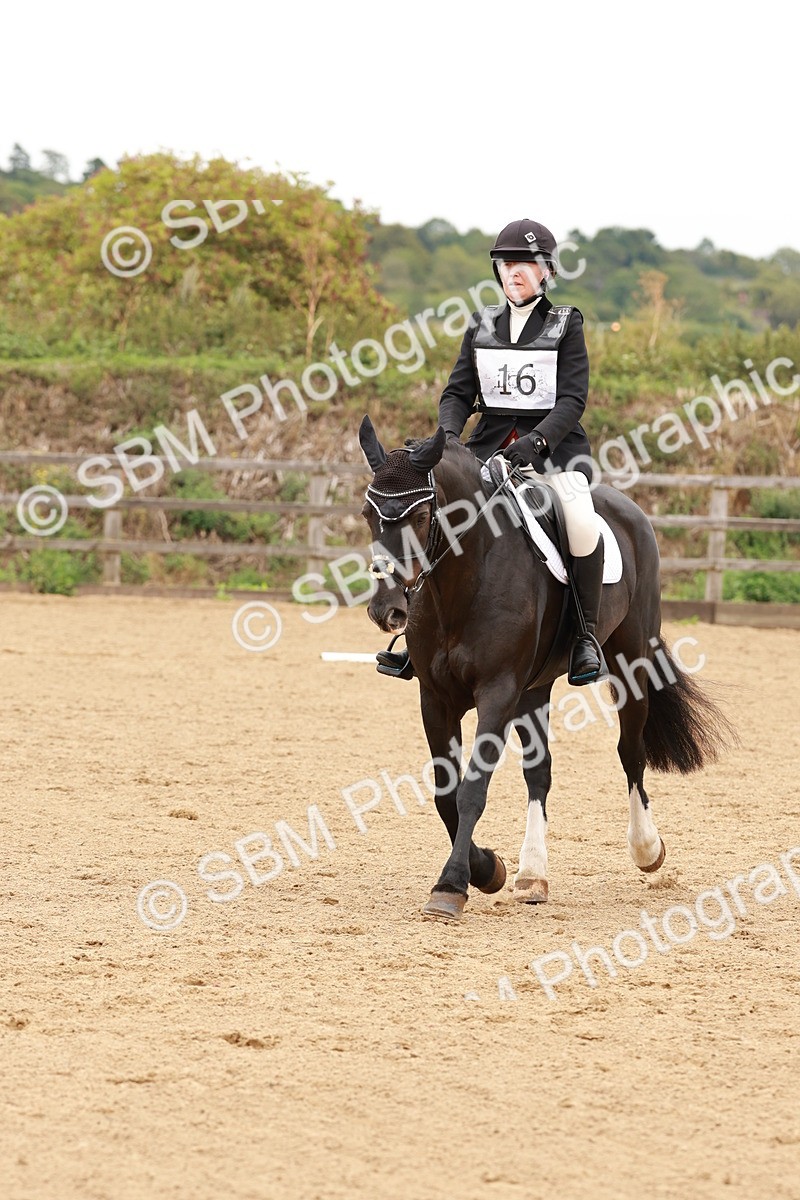 SBM_001596 - Novice 1