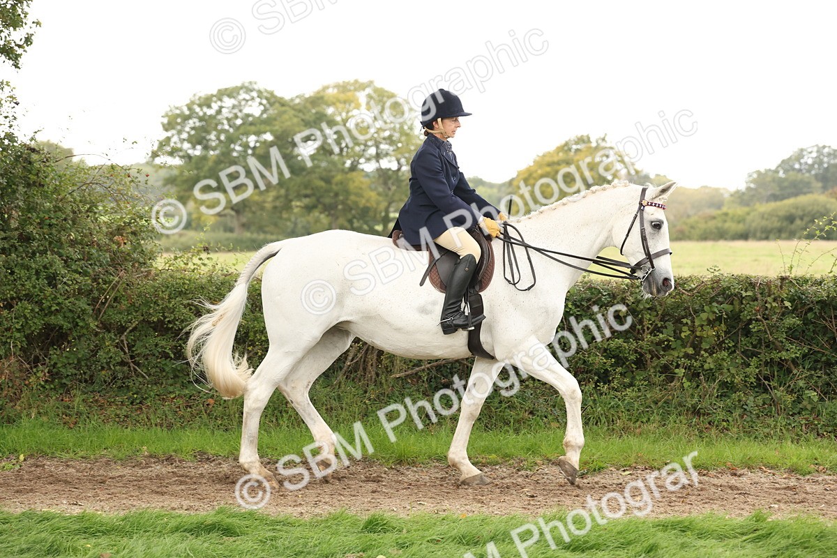 SBM_64166 - S65 - Riding Horse & Hack & Thoroughbred Ridden