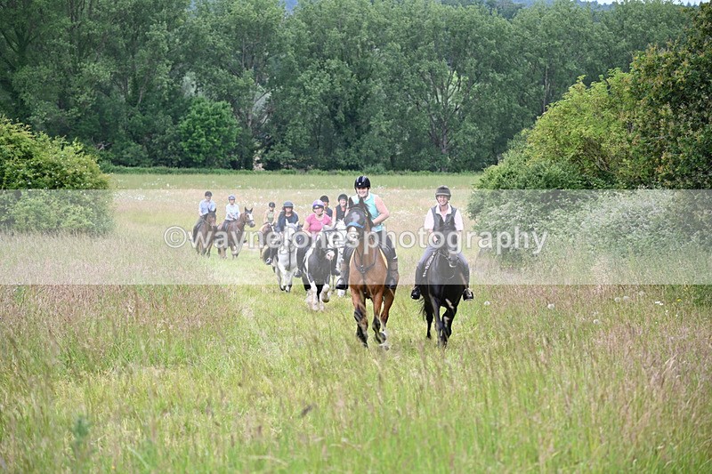 WJ6_8370 - Camera 1 Gallops
