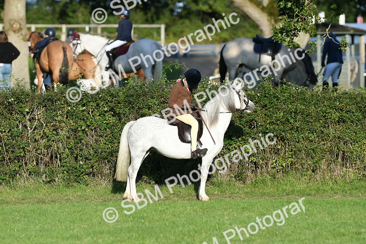 SBM_54111 - S23 - 1st Ridden Mountain & Moorland Pony