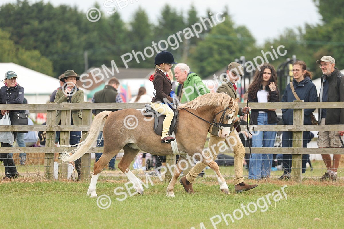 SBM_06936 - Class 74-75 - M&M Lead Rein and First Ridden Pony