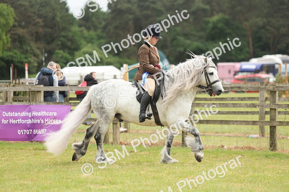 SBM_09169 - Class 78-80 - Ridden M&M Non Welsh Ponies
