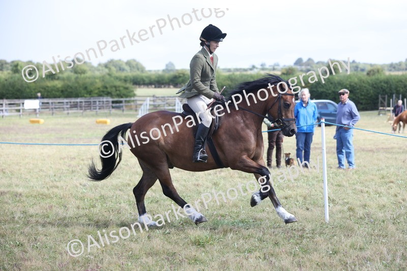 20250831-2937 - Class 19 - Mountain and Moorland