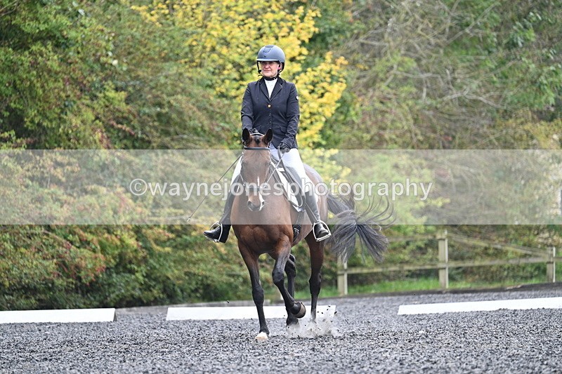 WJ7_3781 - Time 11:04 to 11:38