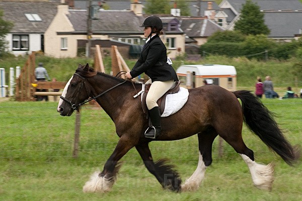 37 - Moniaive Horse Show 2010