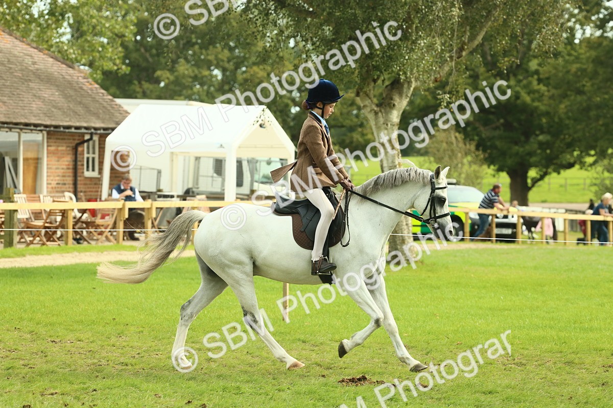 SBM_69829 - S59 - Mountain & Moorland Ridden Small Breeds