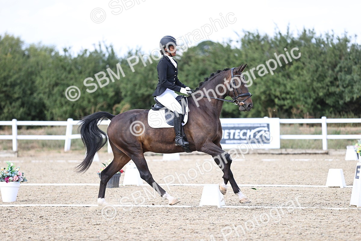 SBM_015905 - Class 5 - E5 Bronze  16.18.17.22
