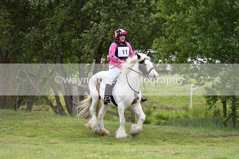 WJ5_2563 - Class 2 40cm