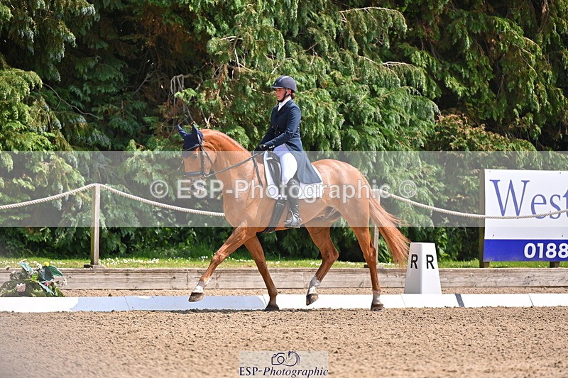 250523A-141717-07291 - B-360-Lucy.K.Wheeler-KING.CREOLE.VD.N.RANCH