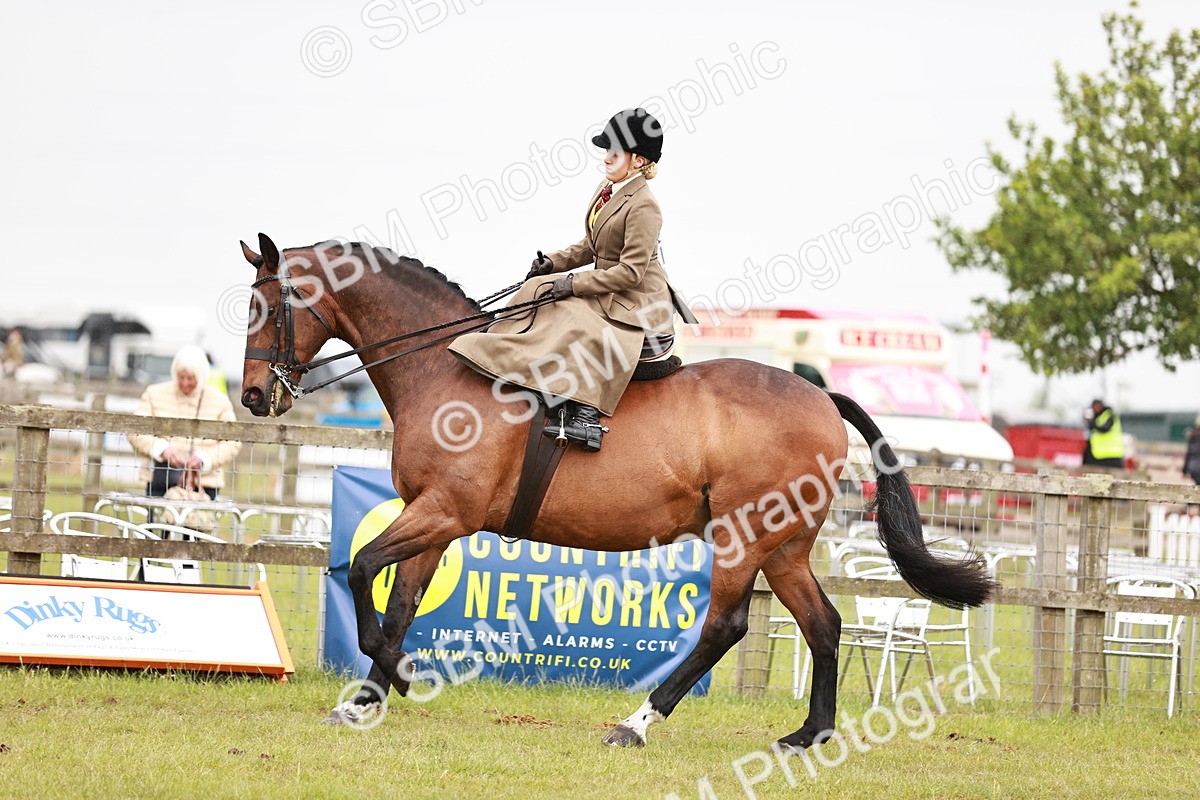 SBM_10984 - Class 81-84 - RIHS Ridden hunters Inc Ladies Hunter