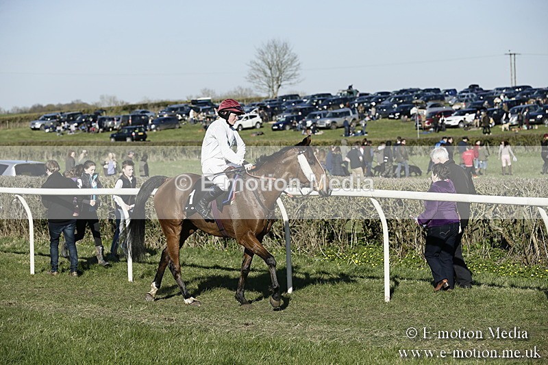 PtP 250317 427 - V.W.H. Hunt Point-to-Point Siddington 25/03/17
