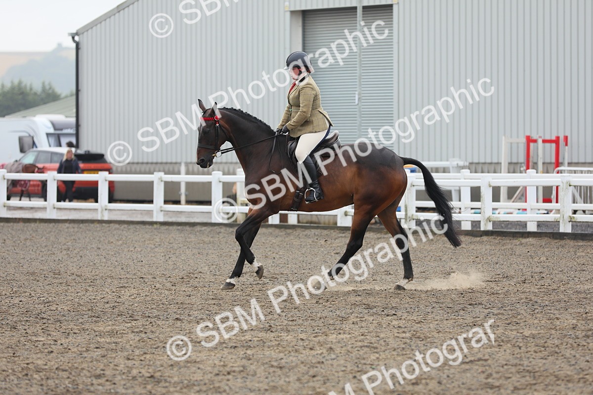 SBM_21326 - Class 805 - Ridden Veteran Horse