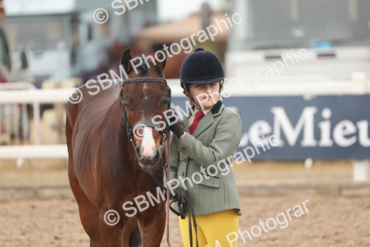 SBM_00599 - Class 13 Young Handler