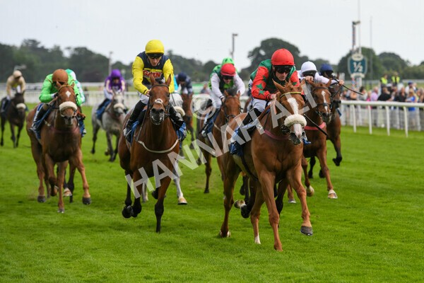 yr10062022r5-29 - Race 5 4.05pm Irish Thoroughbred Marketing Stakes