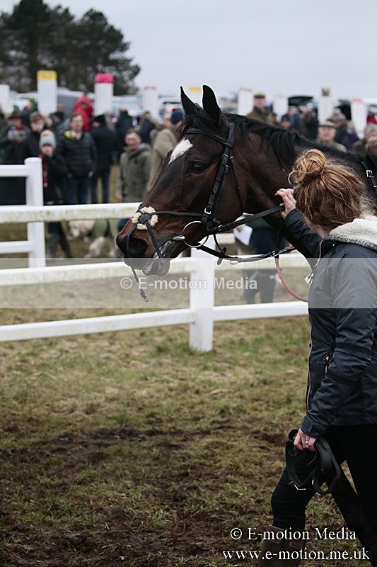 PtP 180218 550 - Combined Services Point-to-Point Larkhill 18/02/18