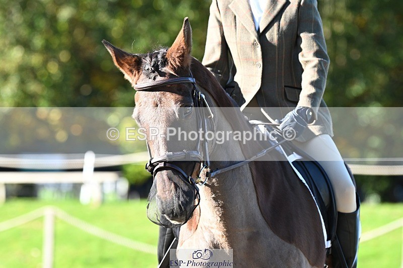 231110-102336-00065 - Cls 2 Prelim 17(a)Q