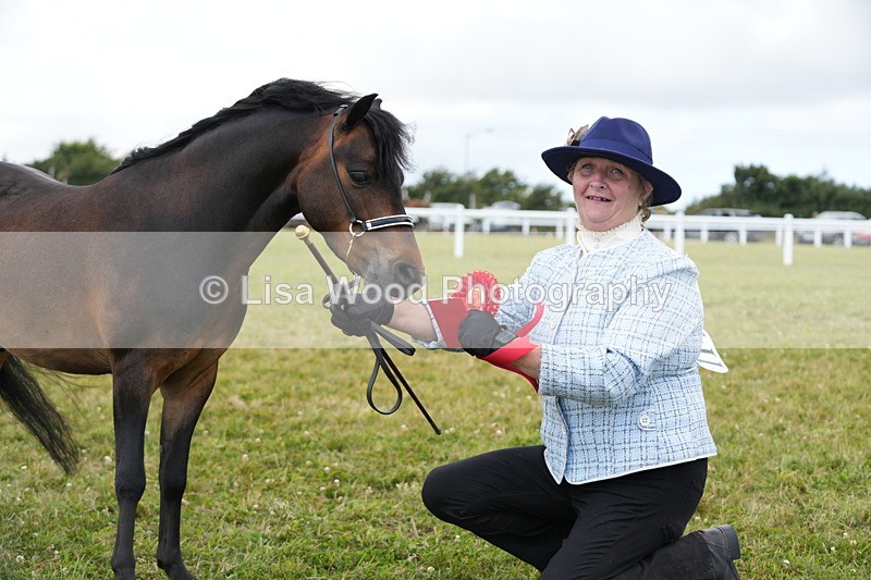 DSC06623 - Class 57: Miniature Horse 4yrs & over