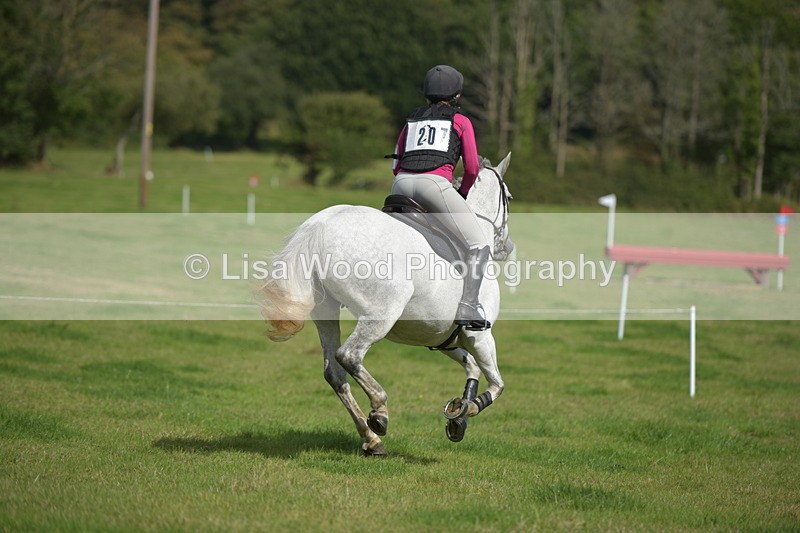 RAY_8782 - Class 2: Trekenning Open: Wall