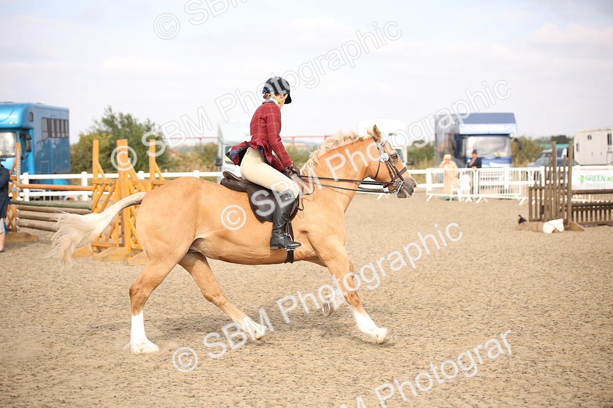 SBM_17263 - Class 410a - Wor5king Veteran 90cm (15-19)