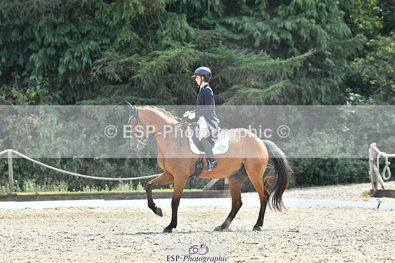 260802A-153444-07512 - Intermediate Bronze