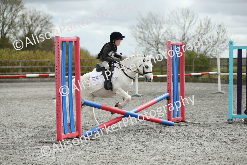 20260412-0703 - Show Jumping