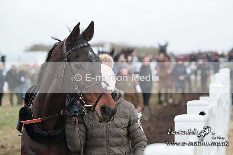 PtP 311223 184 - Larkhill Racing Club Point-to-Point 31/12/23