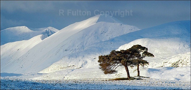 Mountain Light - Landscapes