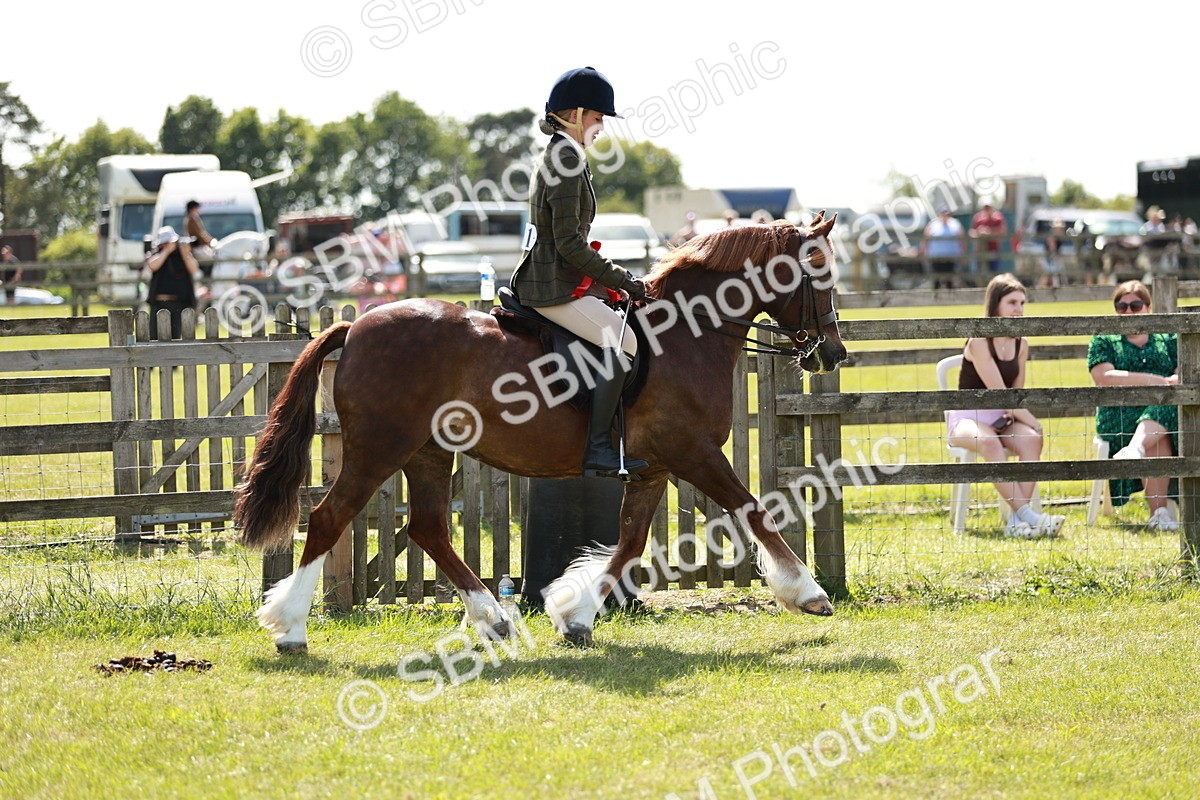 SBM_08475