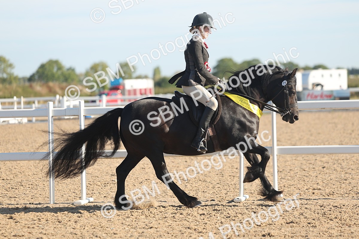 SBM_11145 - Class 302 - Ridden M&M Large Breeds