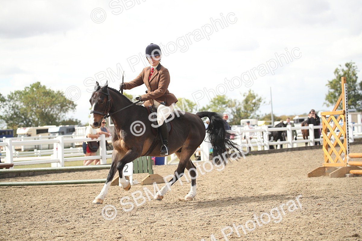 SBM_15269 - Class 506b - Working Veteran - 50cm (20+)