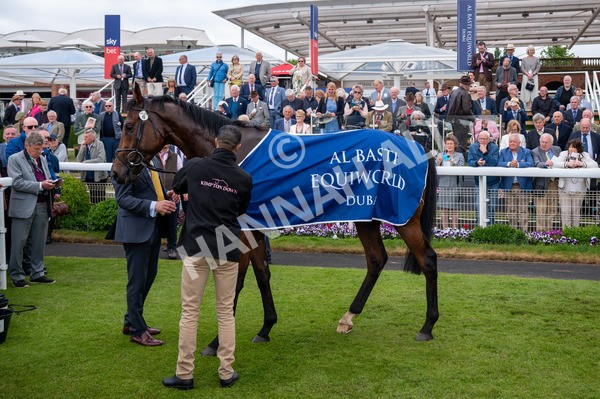 150525-Pride Of Arras-5577 - Race 4 3.45pm Al Basti Equiworld Dubai Dante Stakes