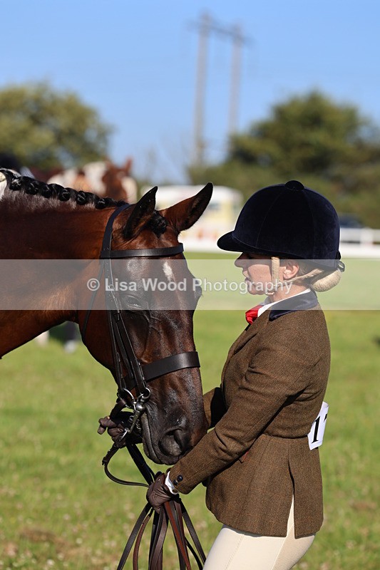 IMG_1323 - Class 27: Ridden Plaited Coloured Horse