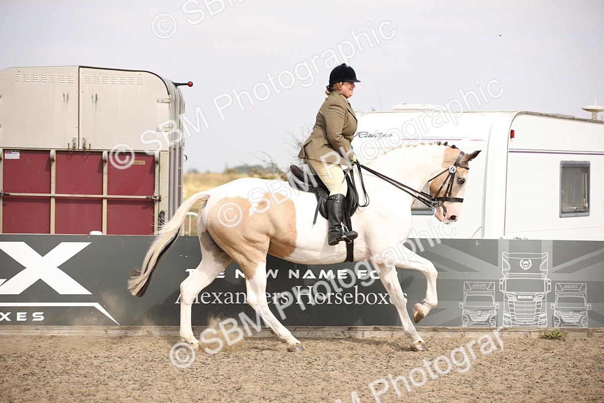 SBM_14247 - Class 407a - Working Veteran 60cm (15-19