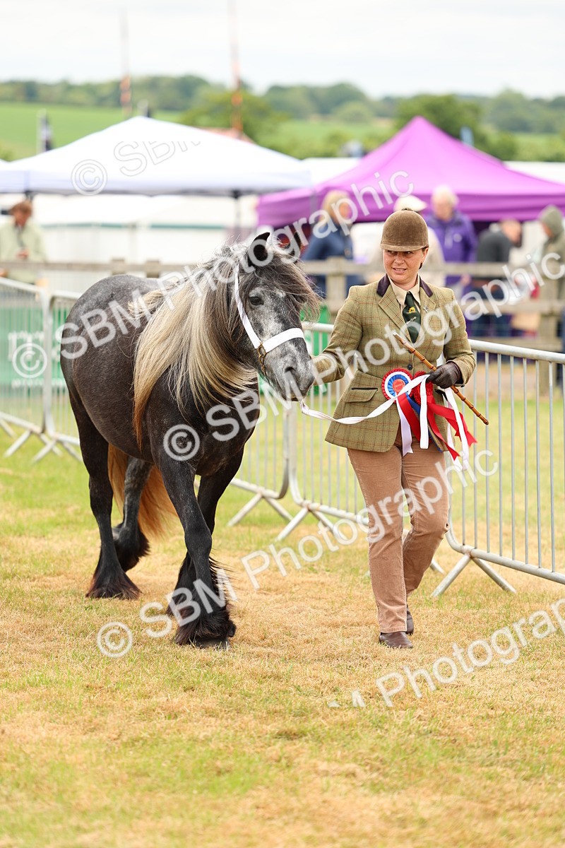 SBM_03555 - Class 58-67 - M&M Non Welsh Pony In hand
