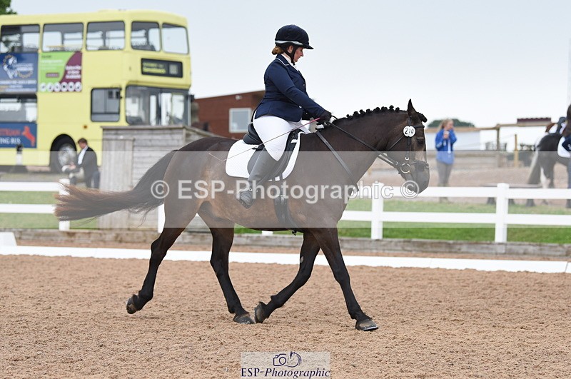 230708A-113646-01615 - Prelim 7