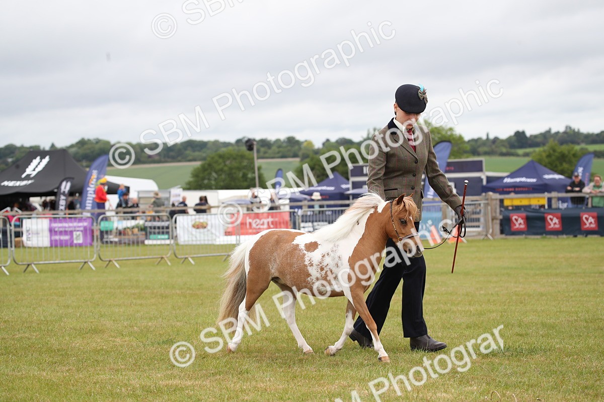 SBM_03998 - Class 23-25 - British Miniature Horse of the Year