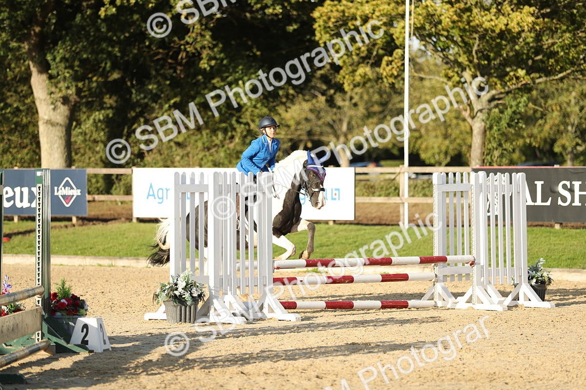 SBM_54181 - J23 - Junior Horse 70cm Championship