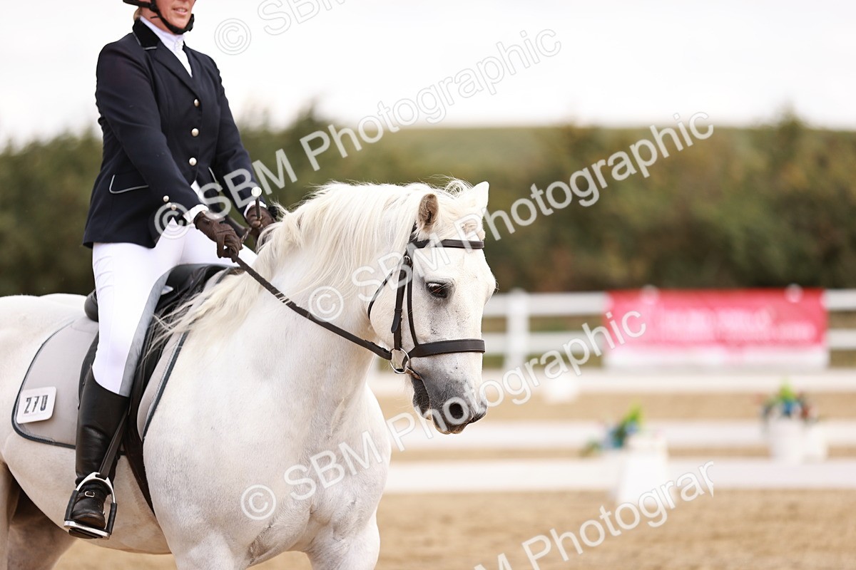 SBM_018023 - Class 15 - Prelim 6