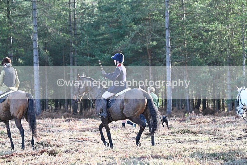 WJ7_7254 - Line 3 (no line 4 or 5)