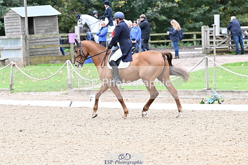 251022A-144658-00386 - B-106-Tim.Cheffings