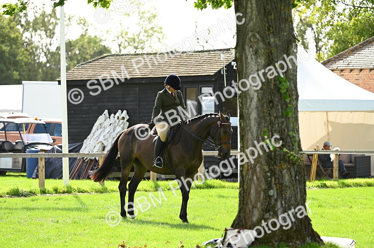 SBM_01794 - S2 - TSR Ridden Horse Showing