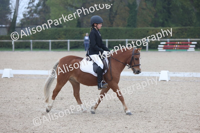 20251012-0066 - Class 1 - Prelim 5