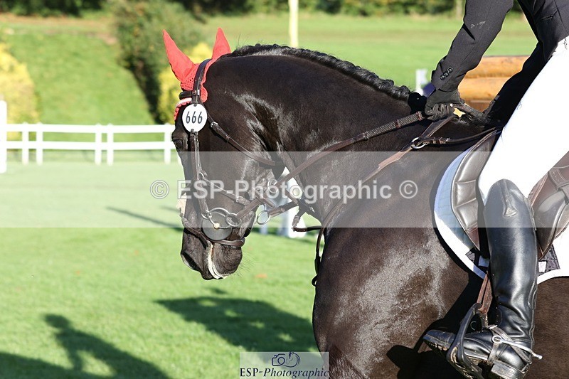 231022-093204-23954 - 666-PENDAN.NEVADA-Hannah.Tweedy-TrotUp+SJ