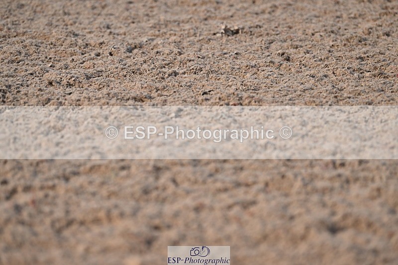 240324A-152150-04485 - Novice 27, 14.30 to 15.25