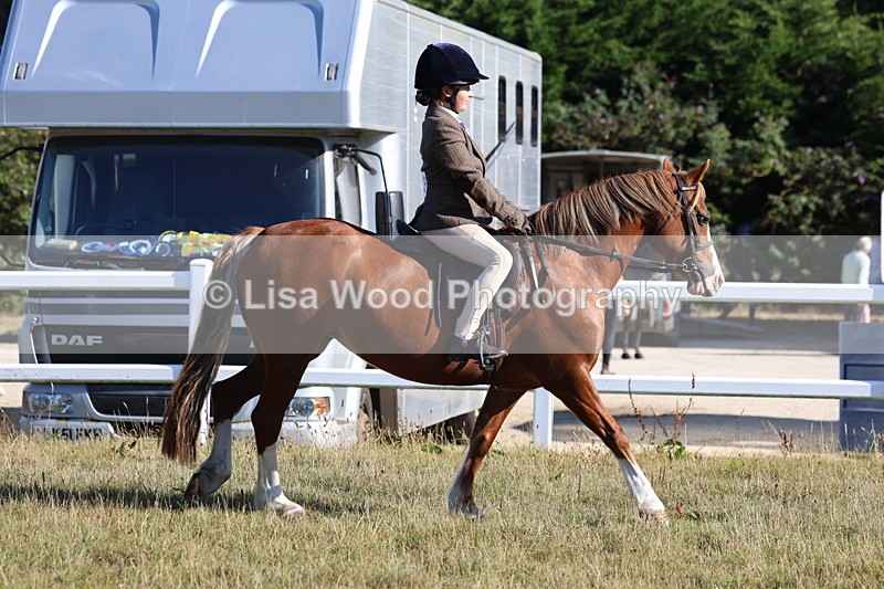 3E7A5384 - Class 2: Working Hunter 60cm