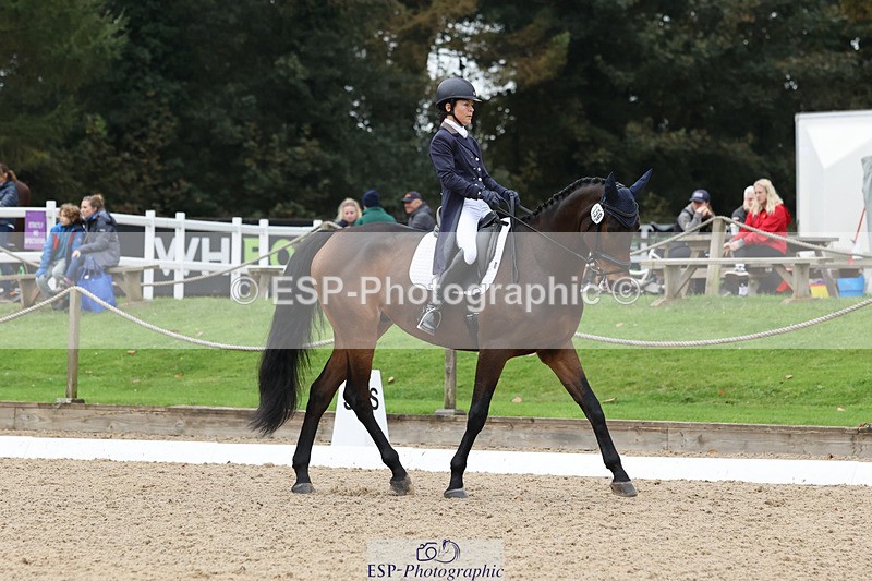 241024-141032-03791 - 159-Eva.Carse-HIDDEN.ECLIPSE