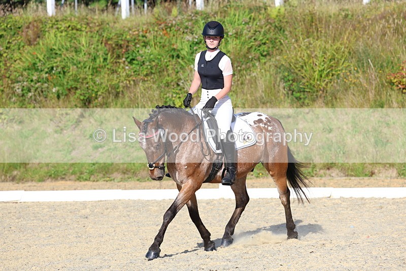 3E7A3633 - Class 2: Intro 1 2024 Section B